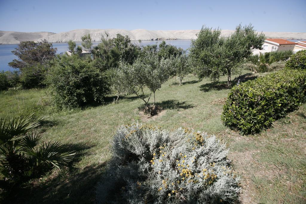 Apartments Roza Miskovici Экстерьер фото